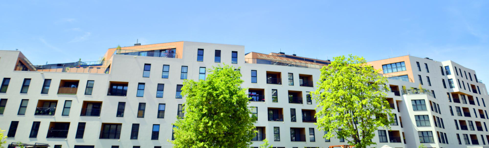 Comprar Piso Ocupado